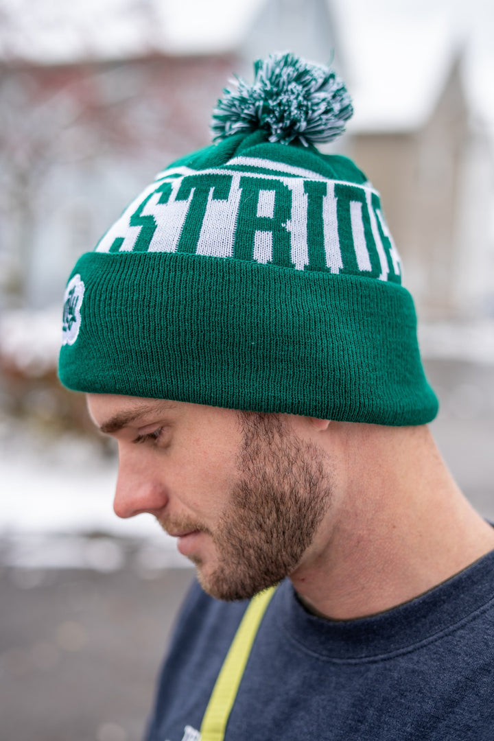 Jaunty Beanie